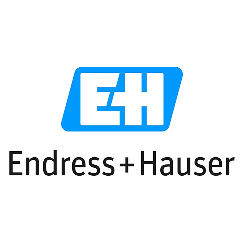 Endress Hauser Endress Hauser